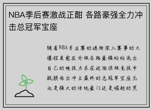 NBA季后赛激战正酣 各路豪强全力冲击总冠军宝座 NBA季后赛激战正酣 各路豪强全力冲击总冠军宝座
